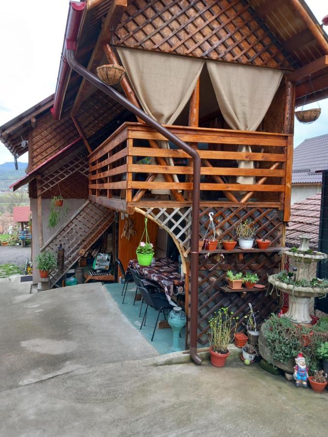 Hotel Casa Rariana Călimăneşti Exterior foto